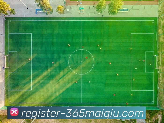 买球APP 高清赛事图